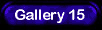 Gallery 15