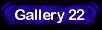 Gallery 22