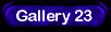 Gallery 23