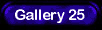 Gallery 25